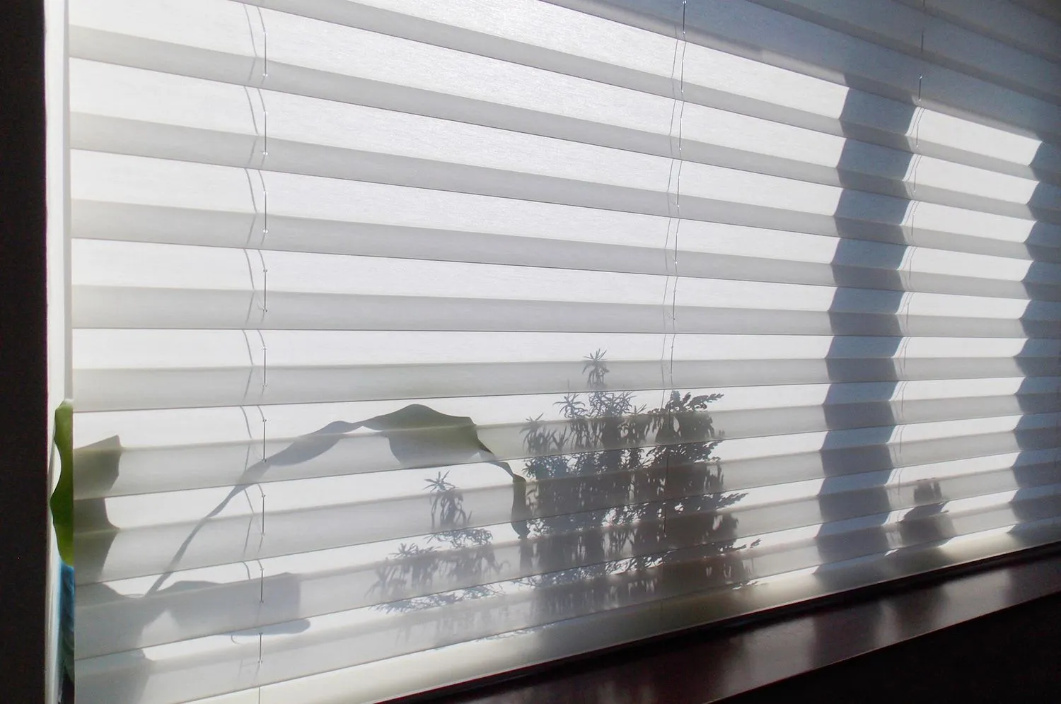 Cellular Shades